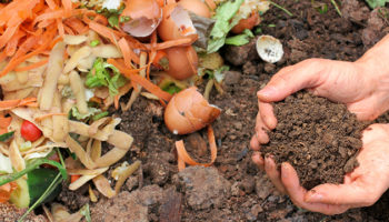 Zelf compost maken, zelf composthoop maken