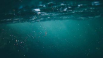 Microplastic in de zee - gevolgen van de plastic soep