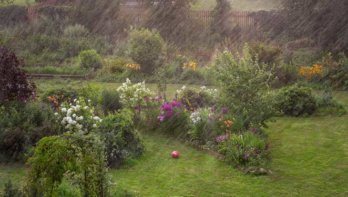 Regenwater opvangen in de tuin