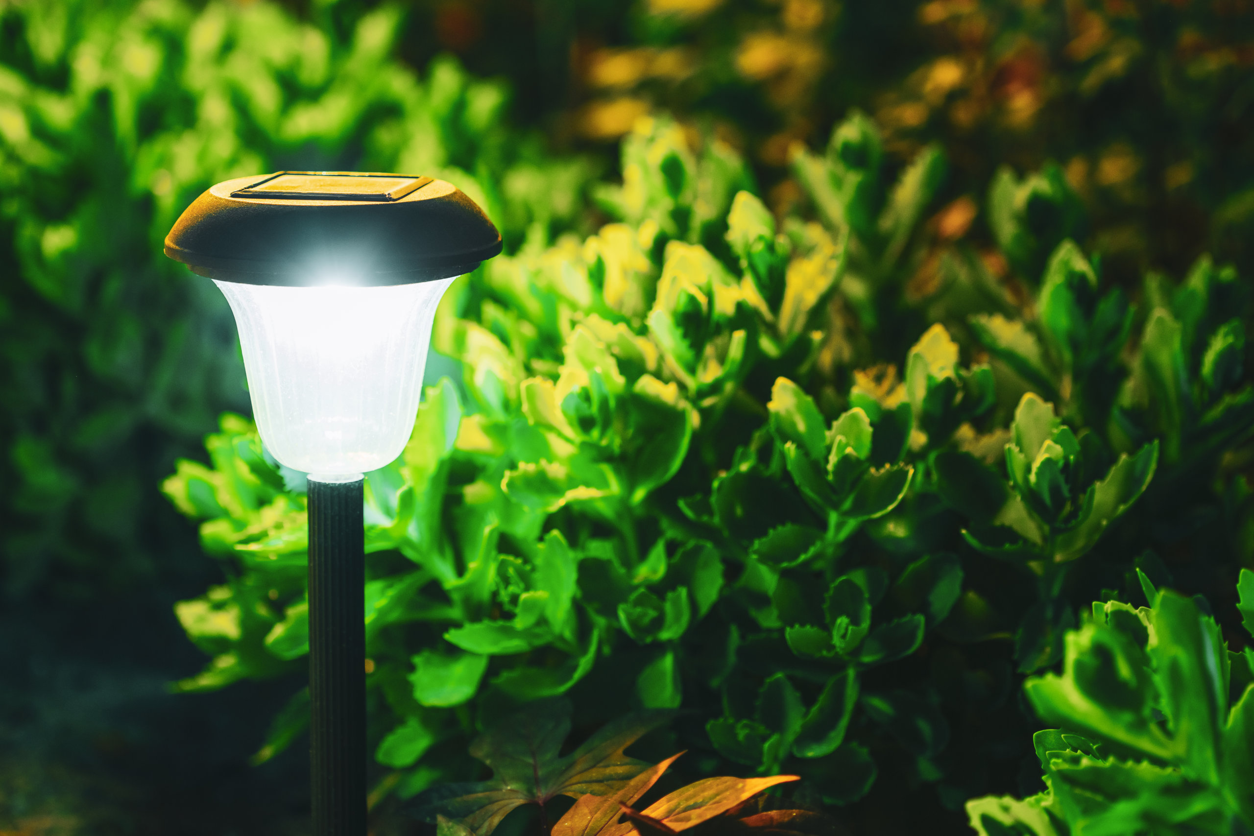 energie besparen tuin 