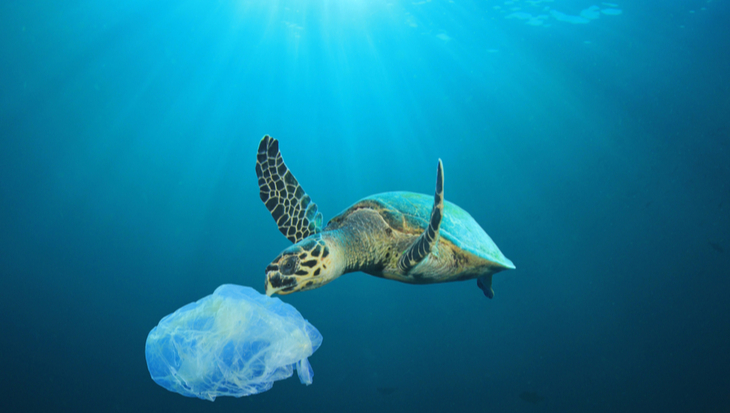 Plastic in de oceaan