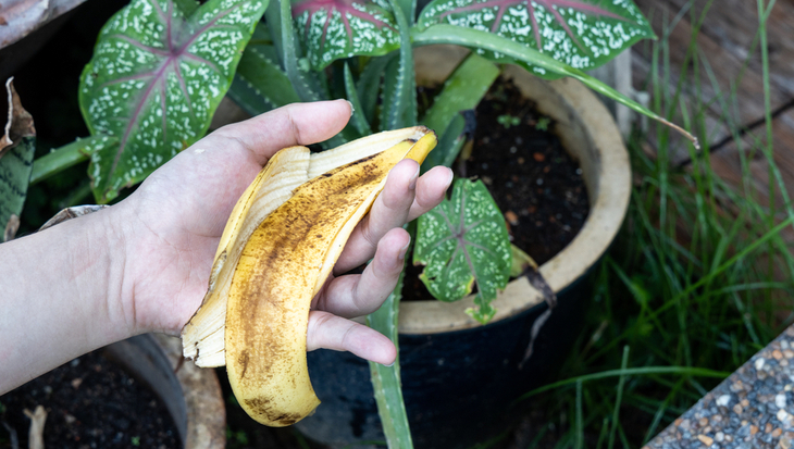 Zero waste fruitschillen bananenschil