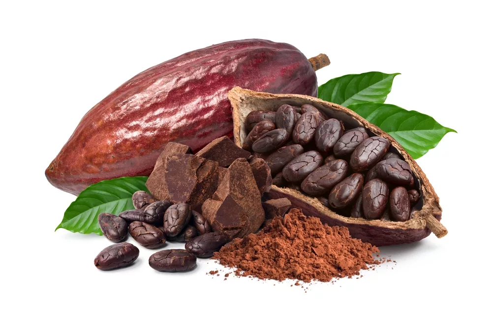 Hoe duurzaam is cacao?
